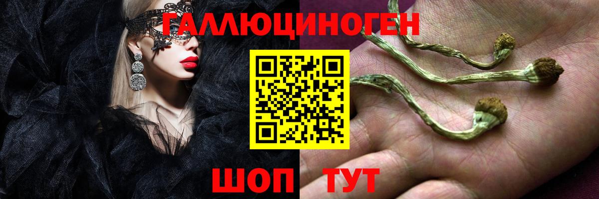 Псилоцибиновые грибы Magic Shrooms  Галлюциногенные грибы MAGIC MUSHROOMS  Серпухов  Вход с VPN 